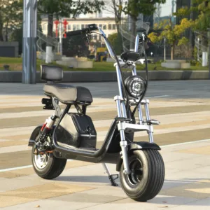 Max Speed 32 Miles 2000W Motor Citycoco Electric Sooter Best Fat Tire Adult Electric Mobility Scooter
